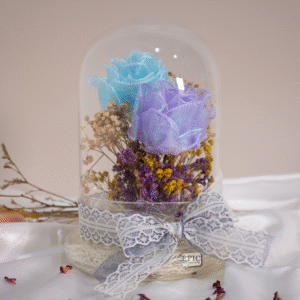 Flower Dome Workshops