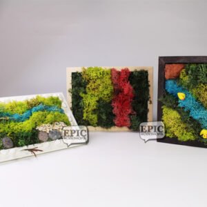 Studio Workshop - Moss Frame