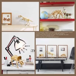 Art Experience Kit: Fossils Excavation - T-Rex