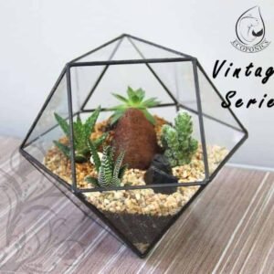 Vintage Series - VS 01