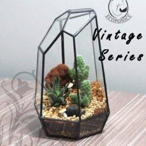 Vintage Series - VS 03