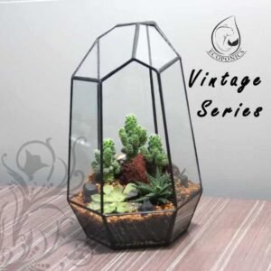 Vintage Series - VS 05