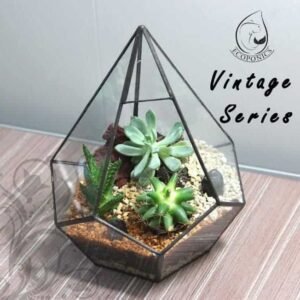 Vintage Series - VS 06