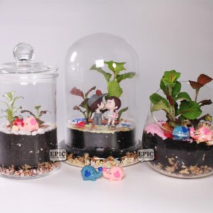 Studio Workshop - Terrarium Workshops