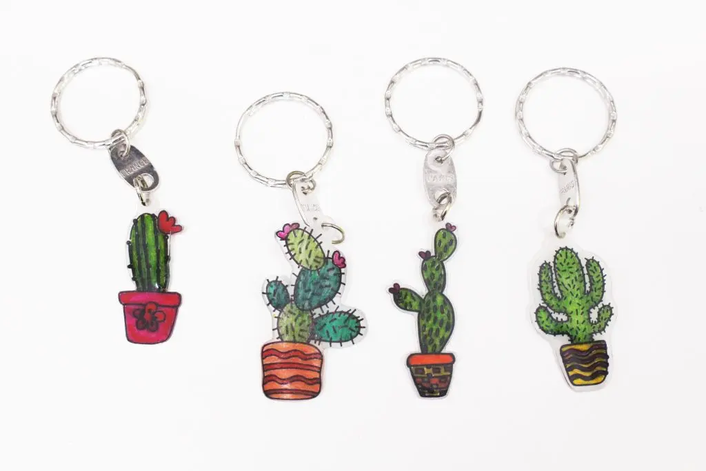 Cactus-Pots-Shrink-Art-1024x683-1