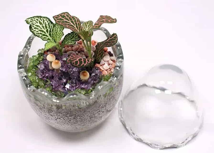 Egg-Terrarium-1