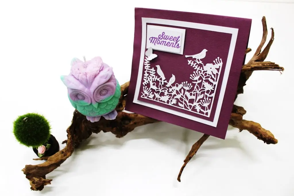 IMG_4506.1-1024x682-1