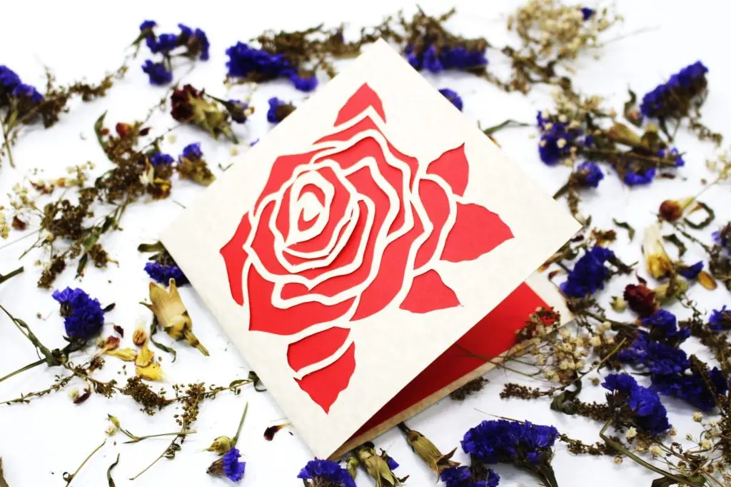 IMG_4521.1-1024x682-1