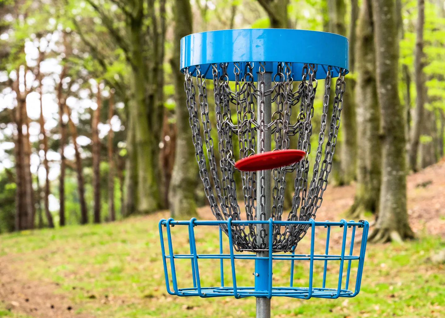 Ultimate Disc